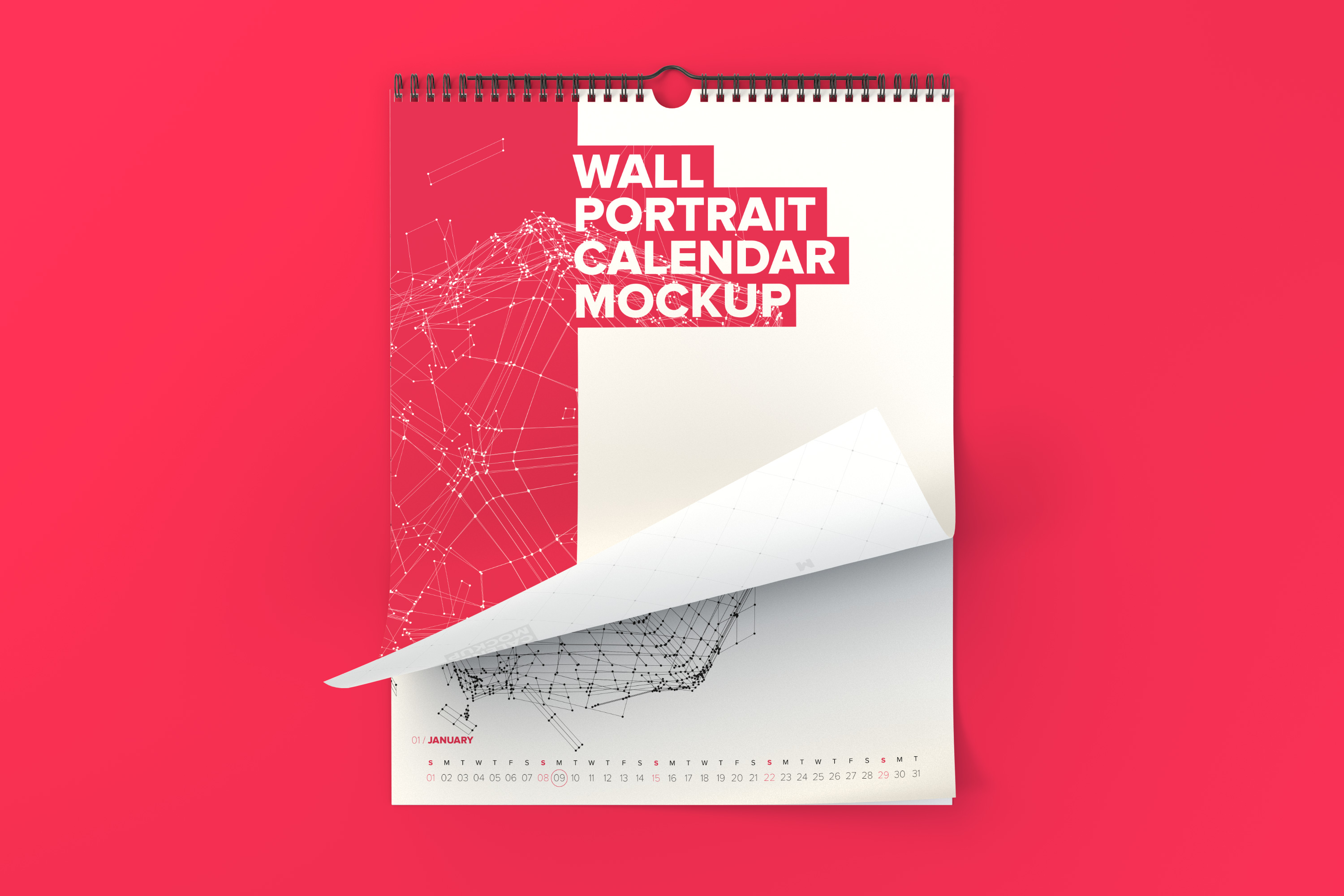 活页挂历翻页效果图样机模板 Wall Portrait Calendar Rolled Page Mockup插图