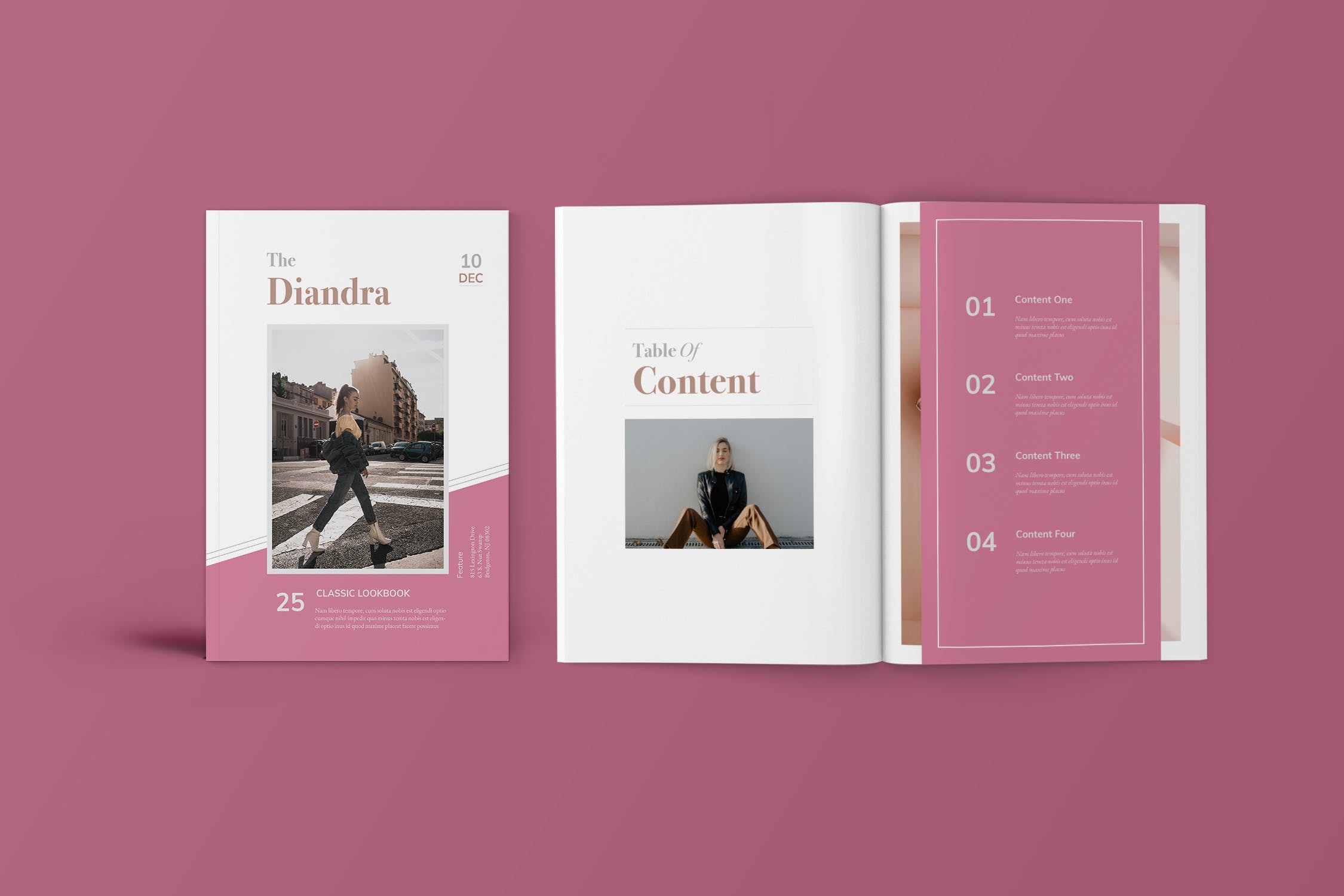 时装画册产品目录Lookbook排版设计INDD模板 Fashion Lookbook Catalogue插图