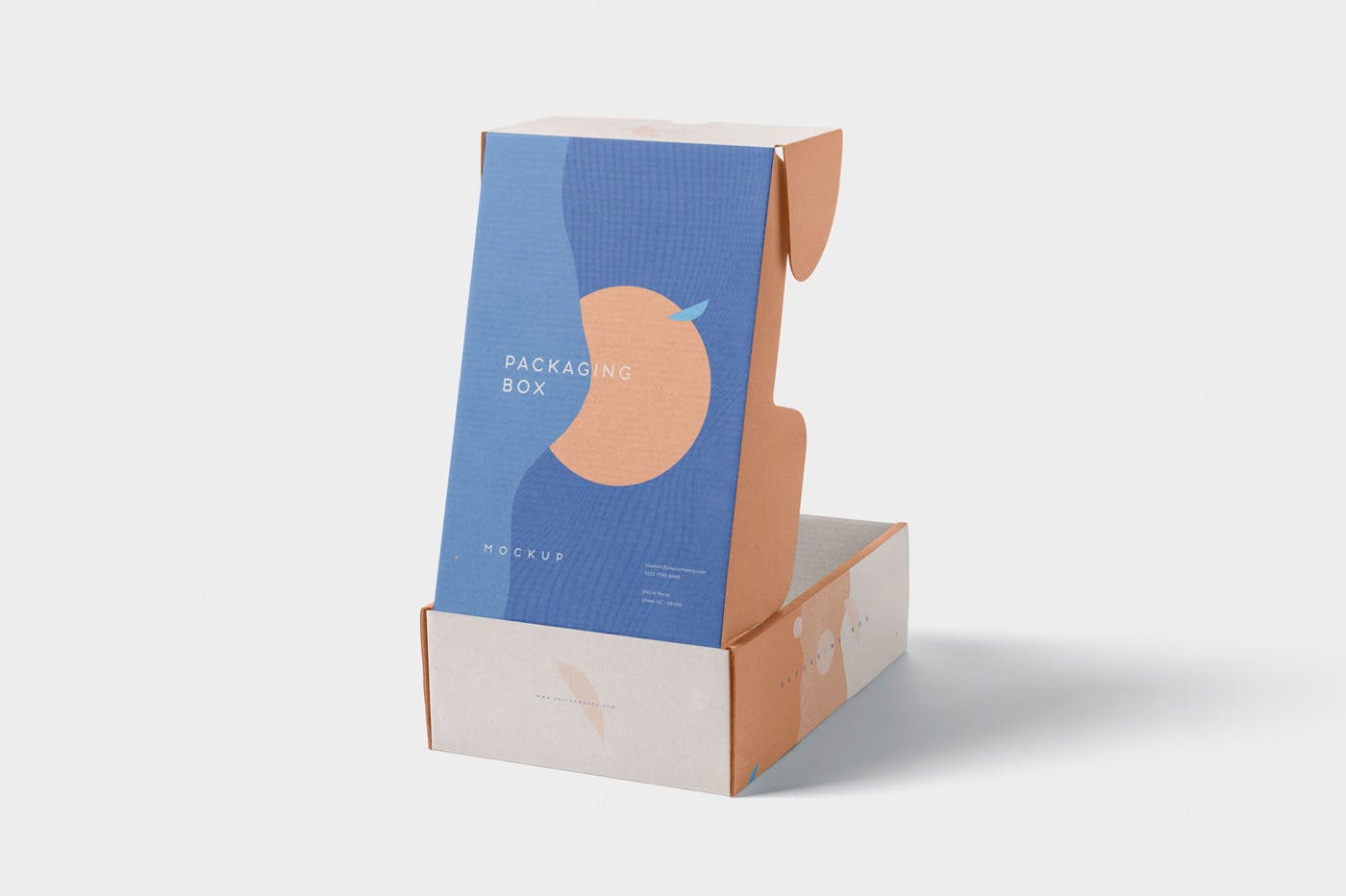 矩形包装盒设计效果图多角度预览样机 5 Rectangular Packaging Box Mockups插图(3)