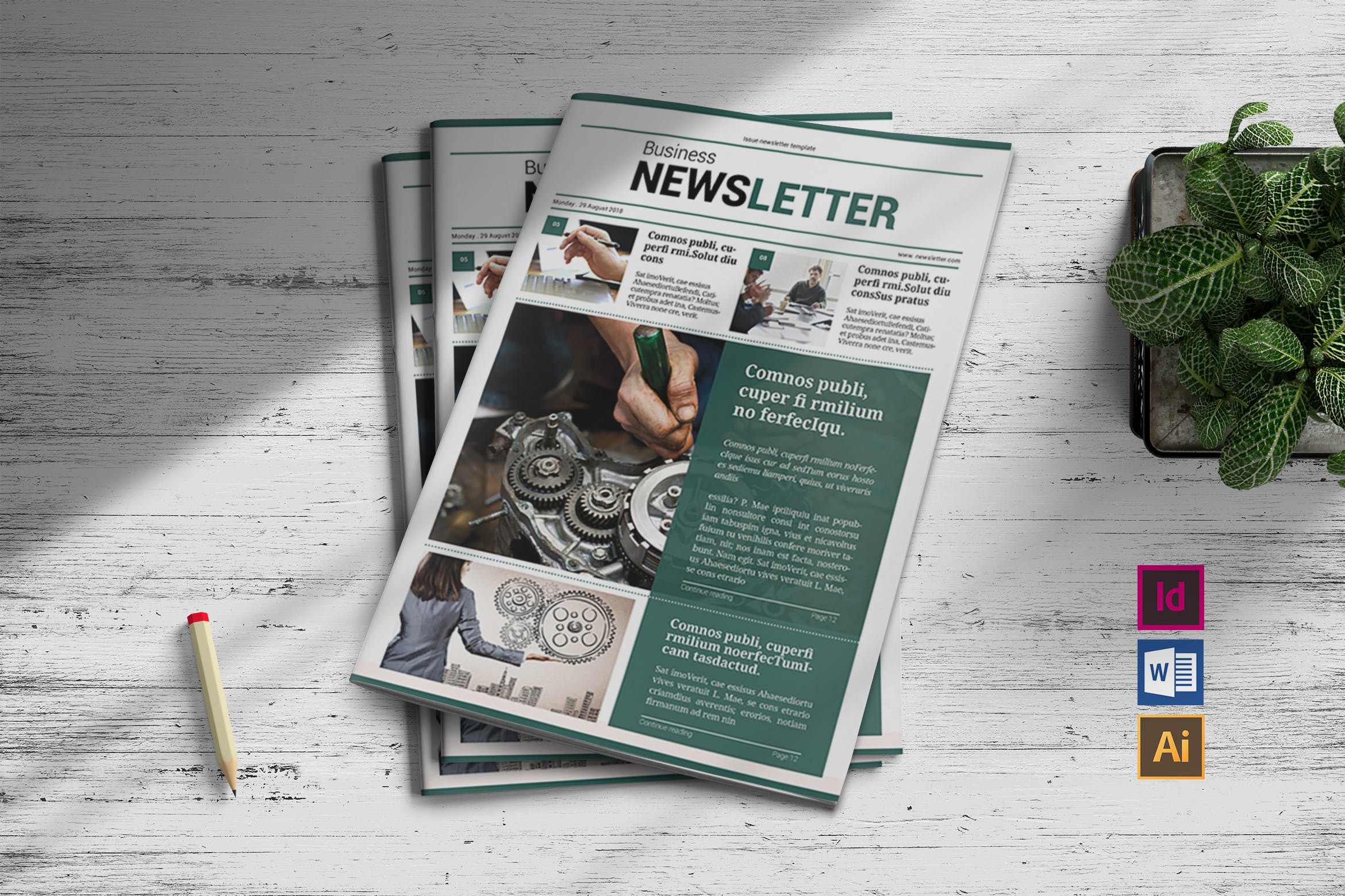 企业内部报刊排版设计模板 Newsletter Template
