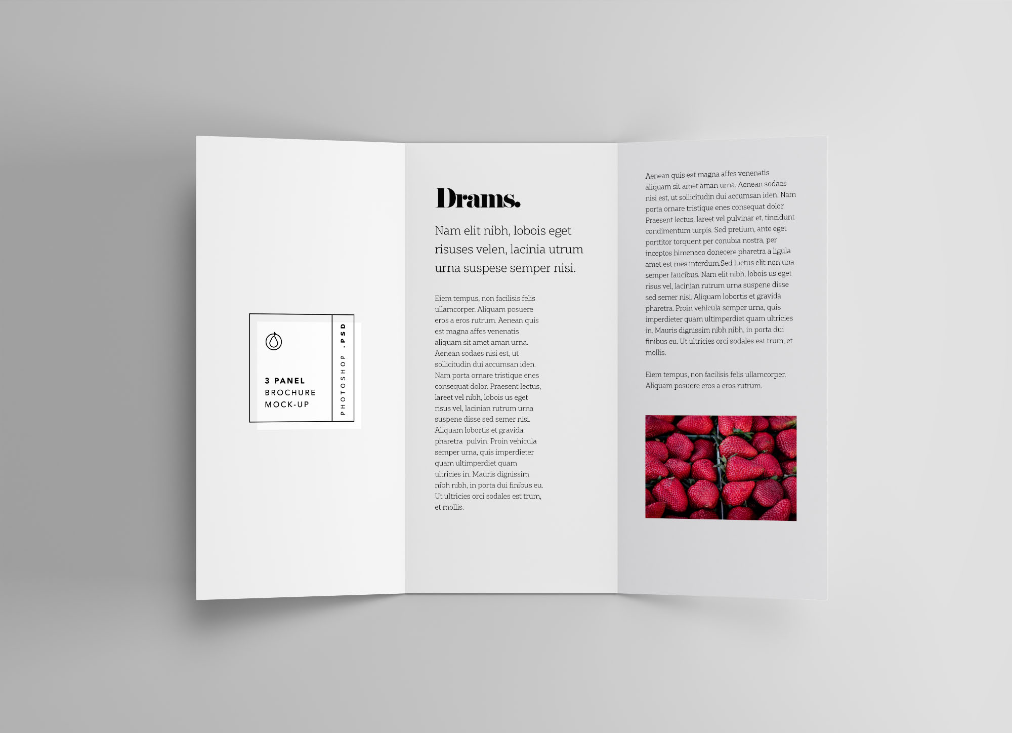 三折页传单内页设计效果图样机 3 Panel Brochure Mockup插图