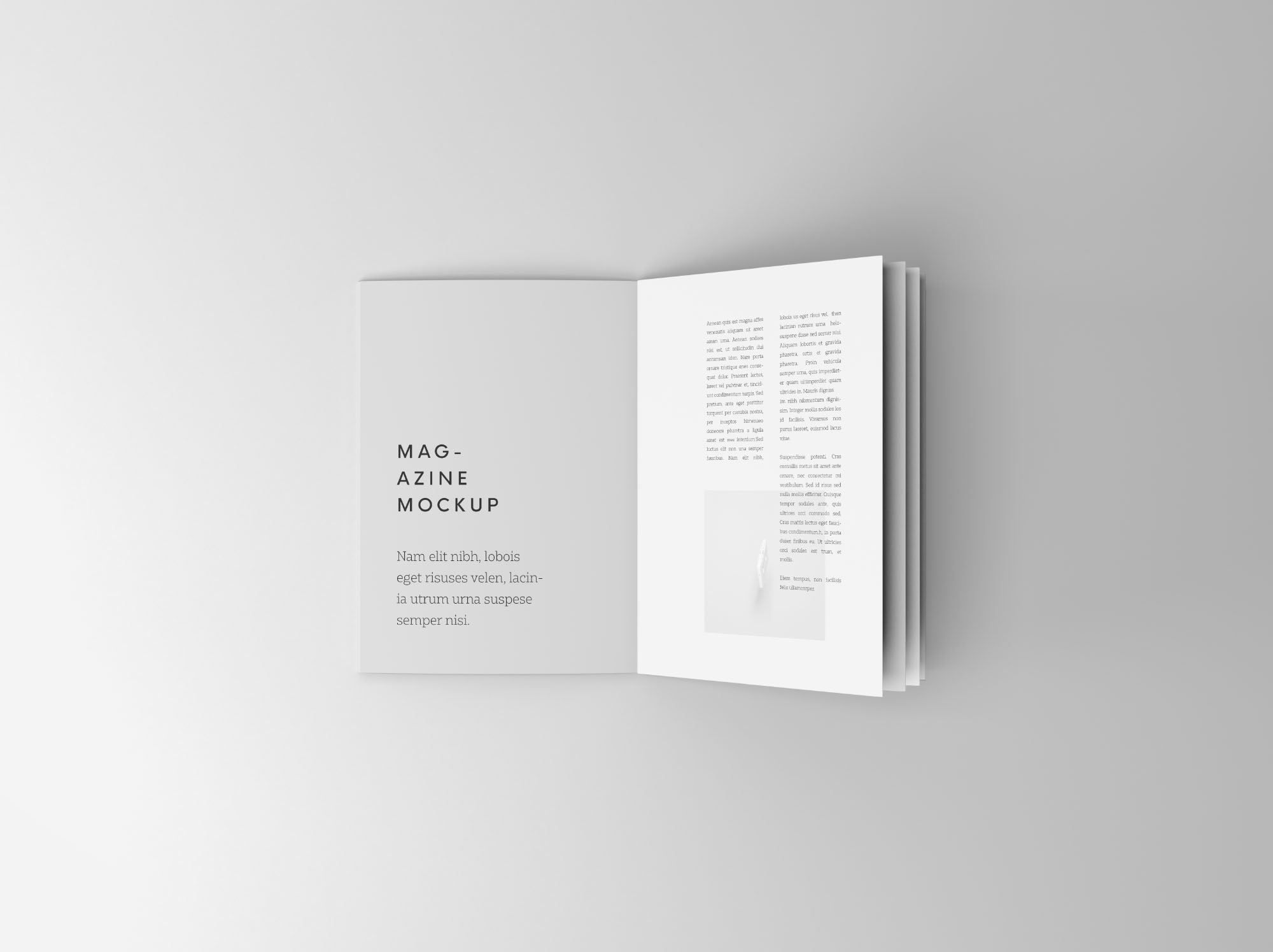 折页宣传册内页排版设计演示样机PSD模板 Overhead Booklet Mockup (PSD)插图