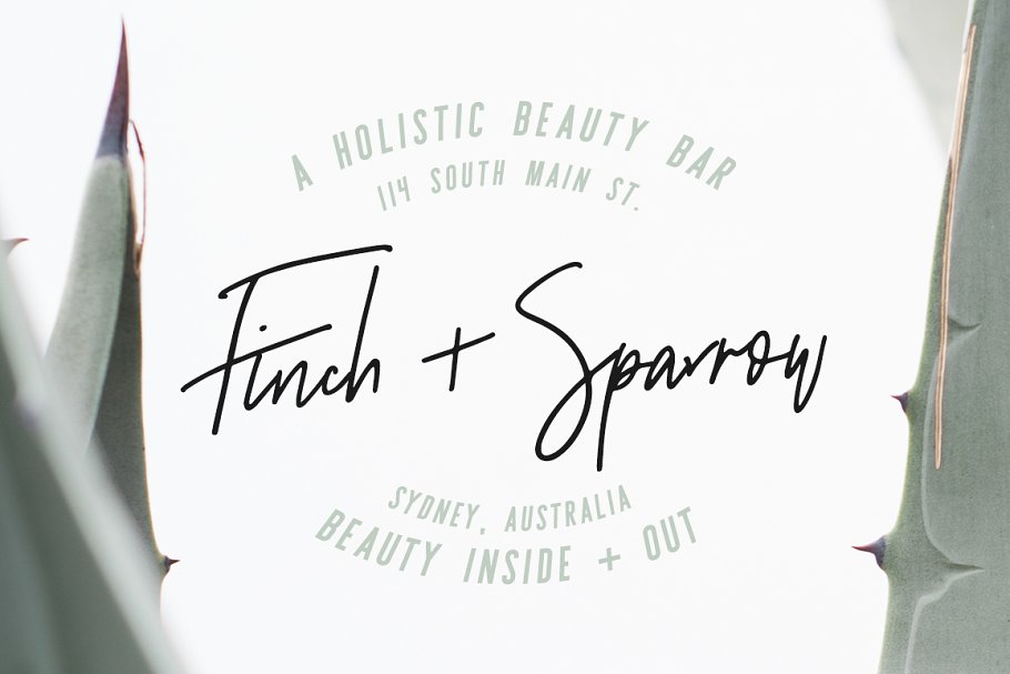 无衬线英文 Logo 字体+Logo 设计模板 Sydney | Font Duo + 12 Free Logos插图(8)