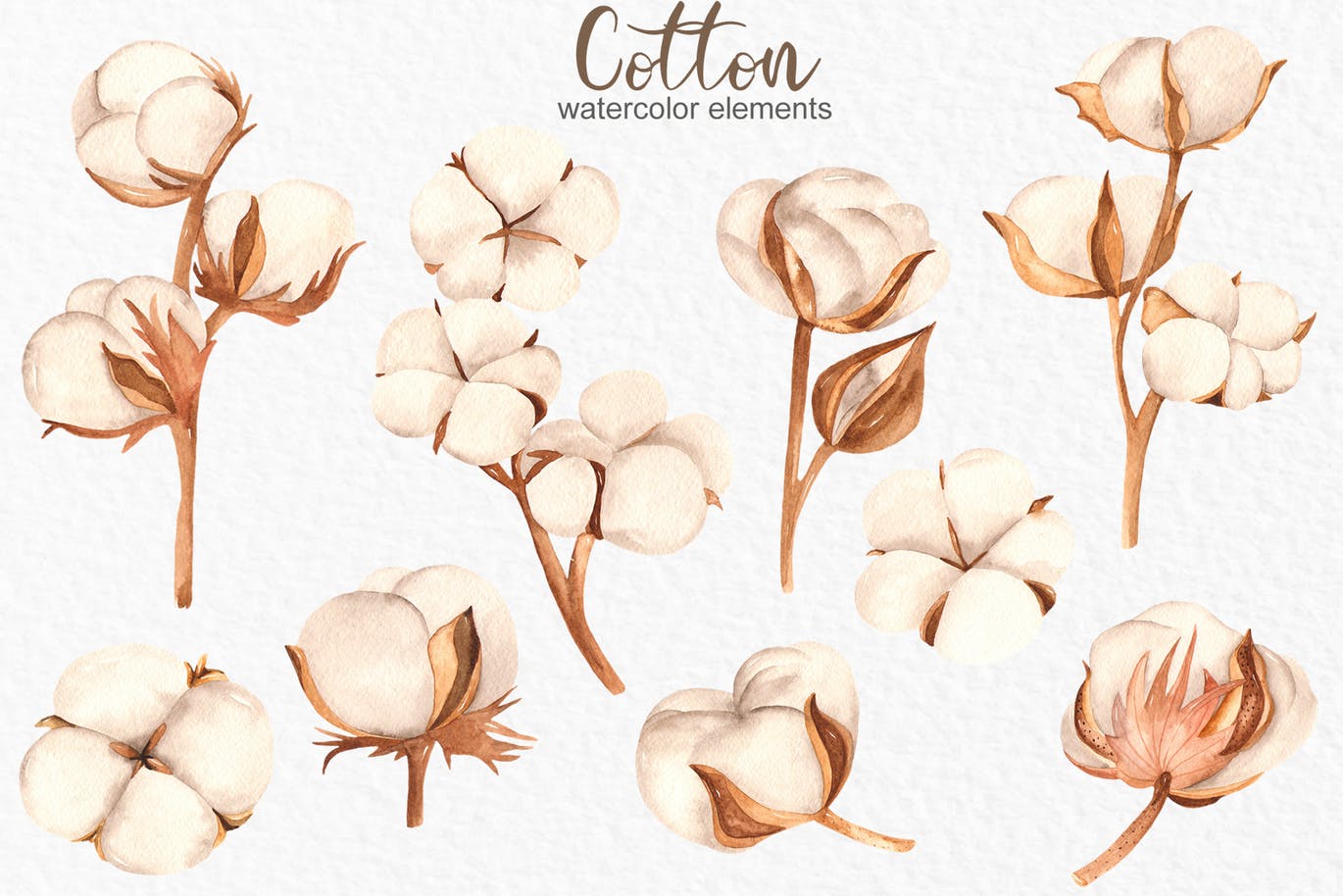 水彩棉花手绘剪贴画/花框/花环素材库精选设计素材 Watercolor cotton. Clipart, frames, wreaths插图(1)