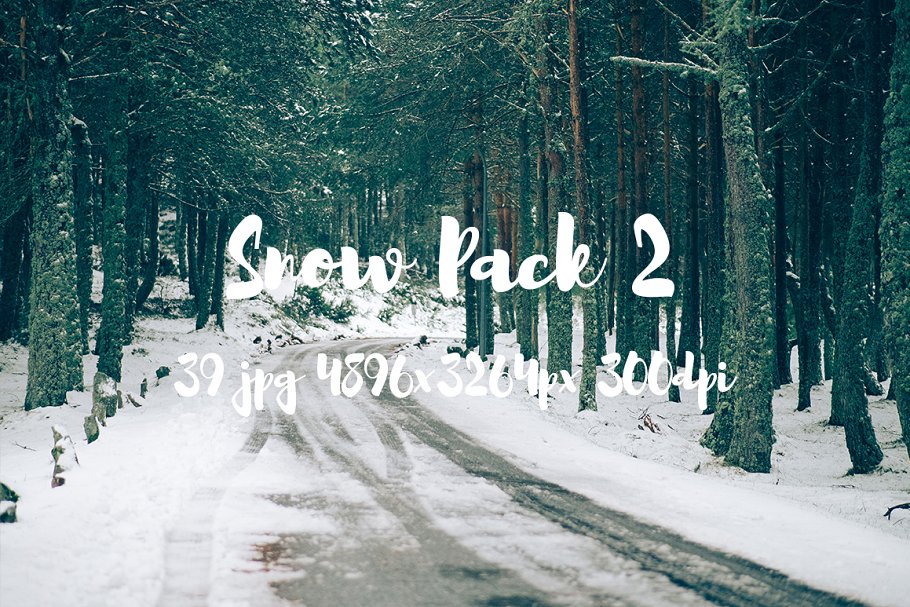 白雪茫茫雪景高清照片素材 Snow Photo Pack II插图(8)
