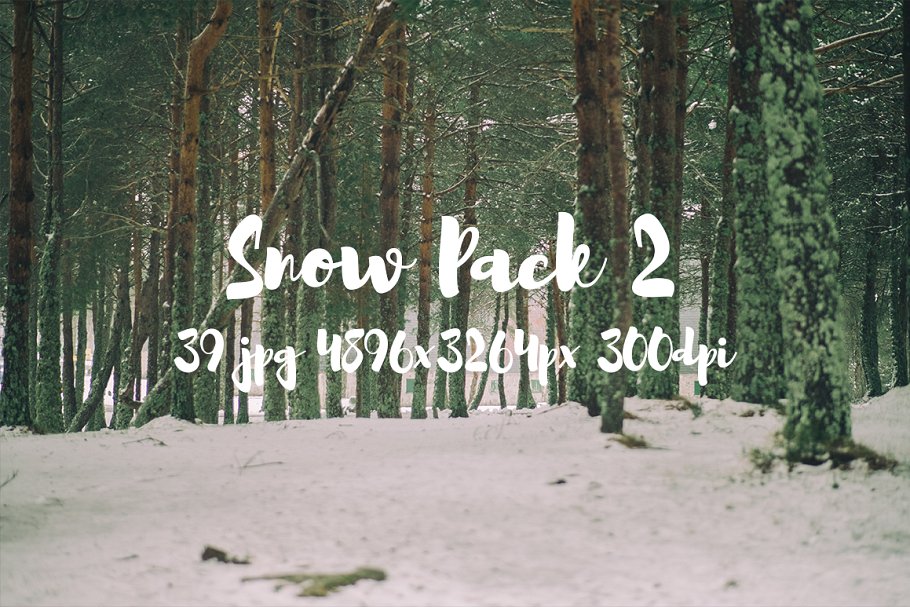 白雪茫茫雪景高清照片素材 Snow Photo Pack II插图(13)
