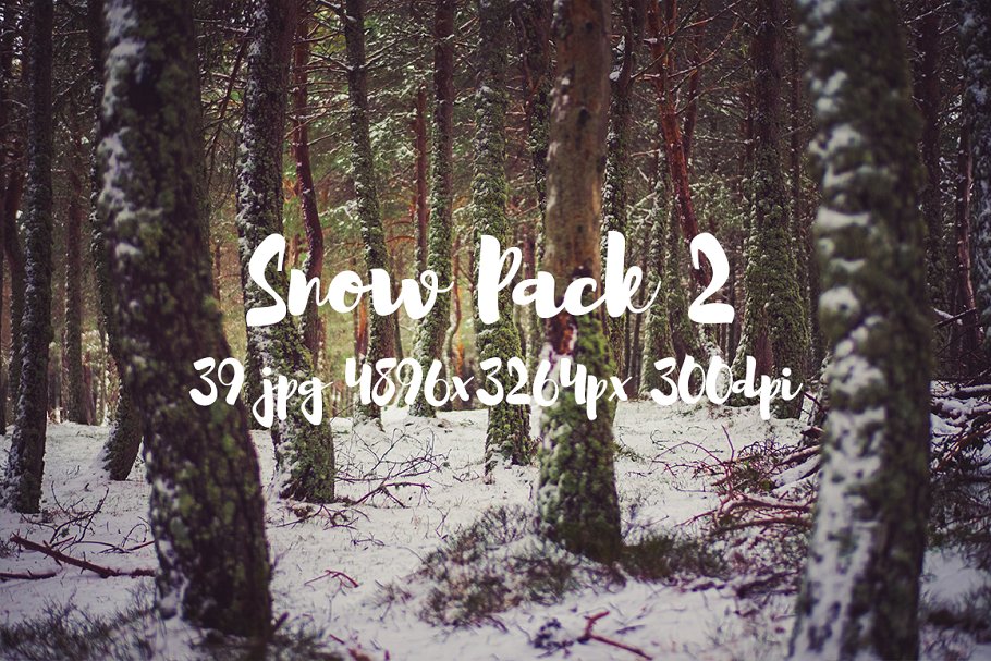白雪茫茫雪景高清照片素材 Snow Photo Pack II插图(15)