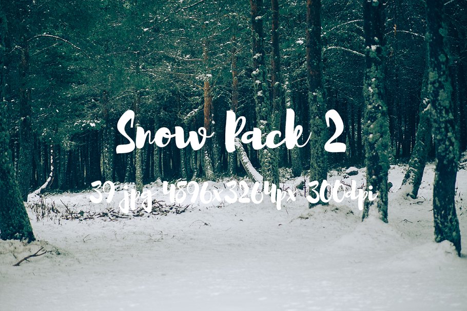 白雪茫茫雪景高清照片素材 Snow Photo Pack II插图(17)