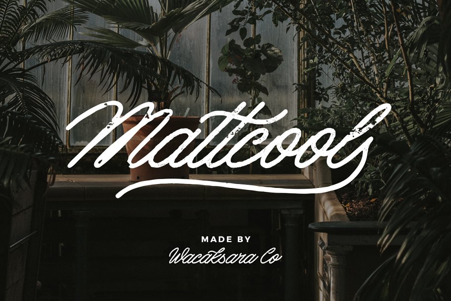 复古英文手写单线字体下载 Mattcool Script插图