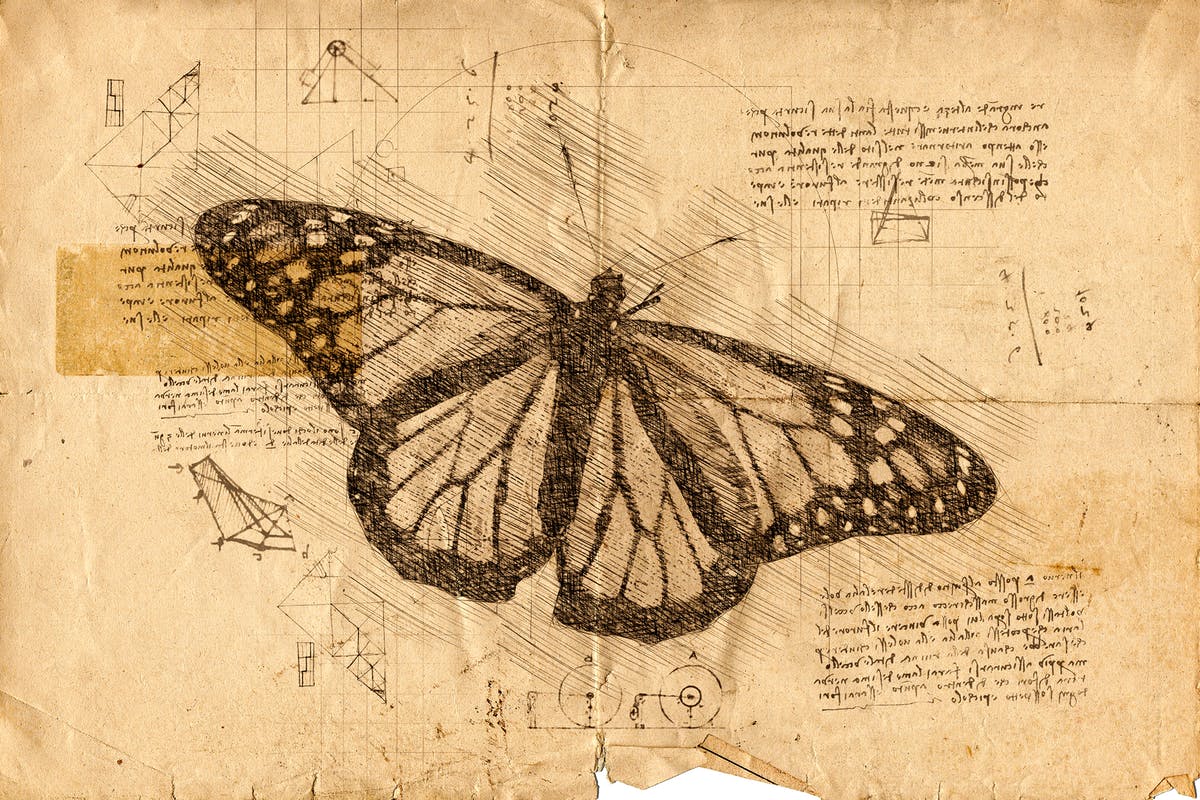 达芬奇素描效果一键生成PS动作 Da Vinci Sketch Photoshop Action插图
