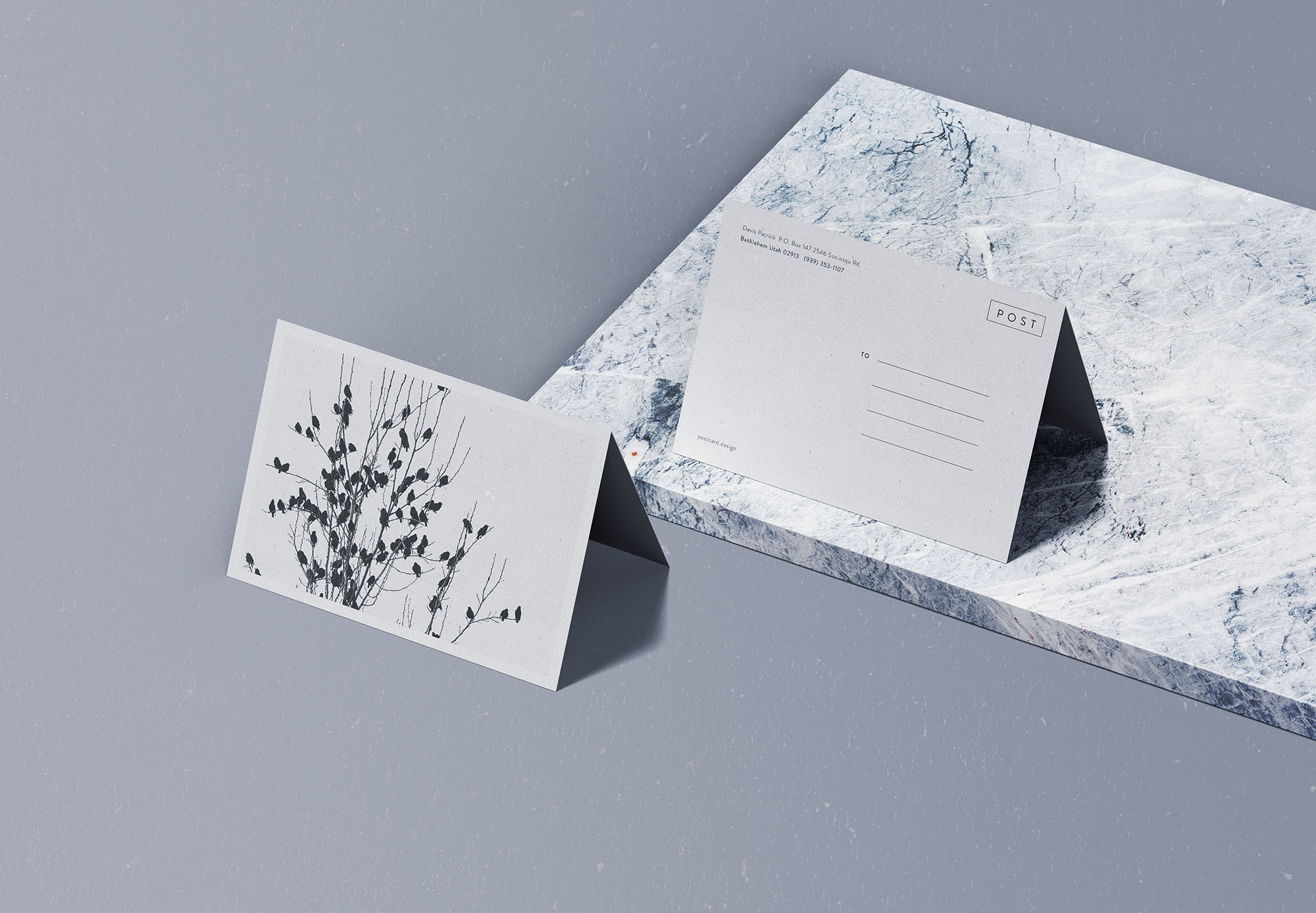 折叠式明信片设计效果图样机素材库精选 Folded Postcard Mockup插图