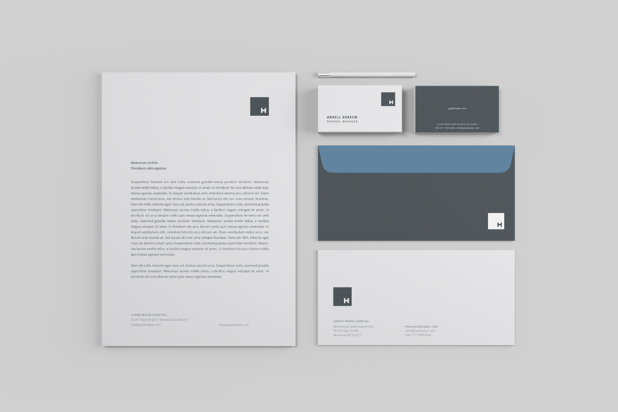 品牌VI设计效果预览办公用品样机模板 Professional Stationery Mockup插图