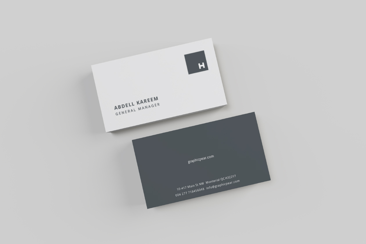 品牌VI设计效果预览办公用品样机模板 Professional Stationery Mockup插图(3)