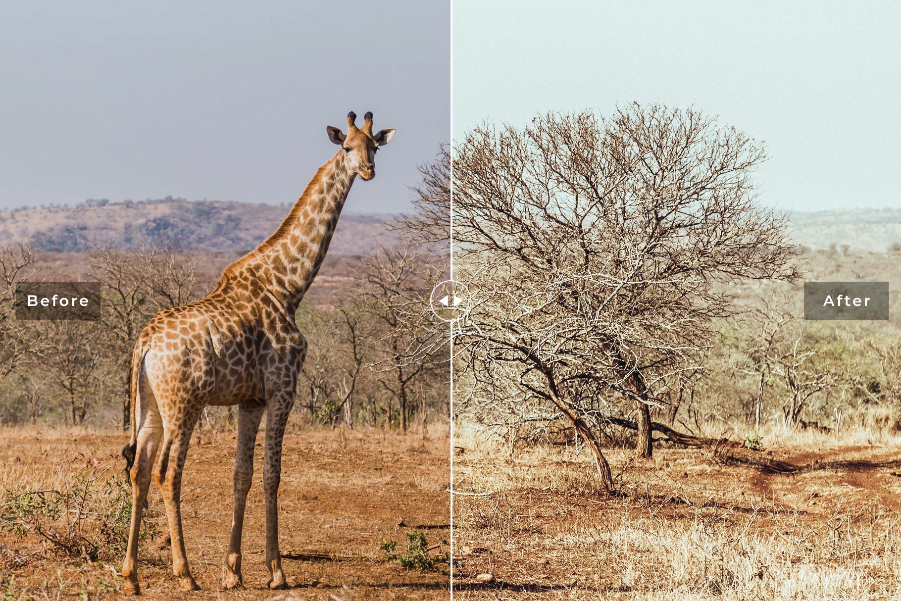 平原荒野摄影作品调色滤镜素材库精选LR预设 Safari Mobile & Desktop Lightroom Presets插图(1)