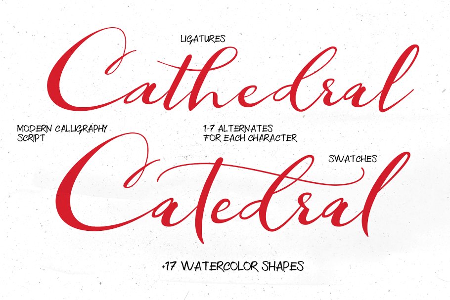 手写现代书法字体 Catedral – Script Font插图(2)