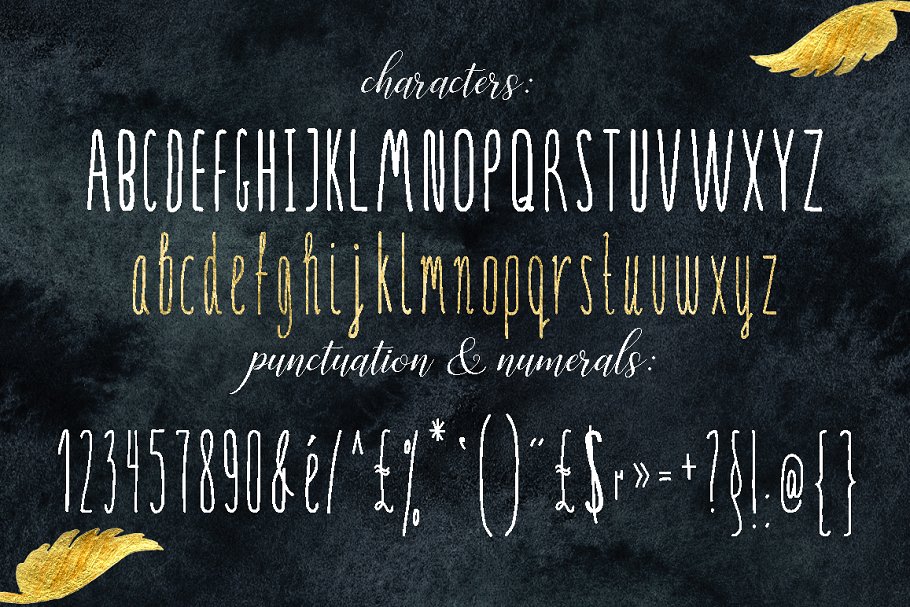 修长手写英文艺术无衬线字体 SERENA gold. Font & golden flowers.插图(1)
