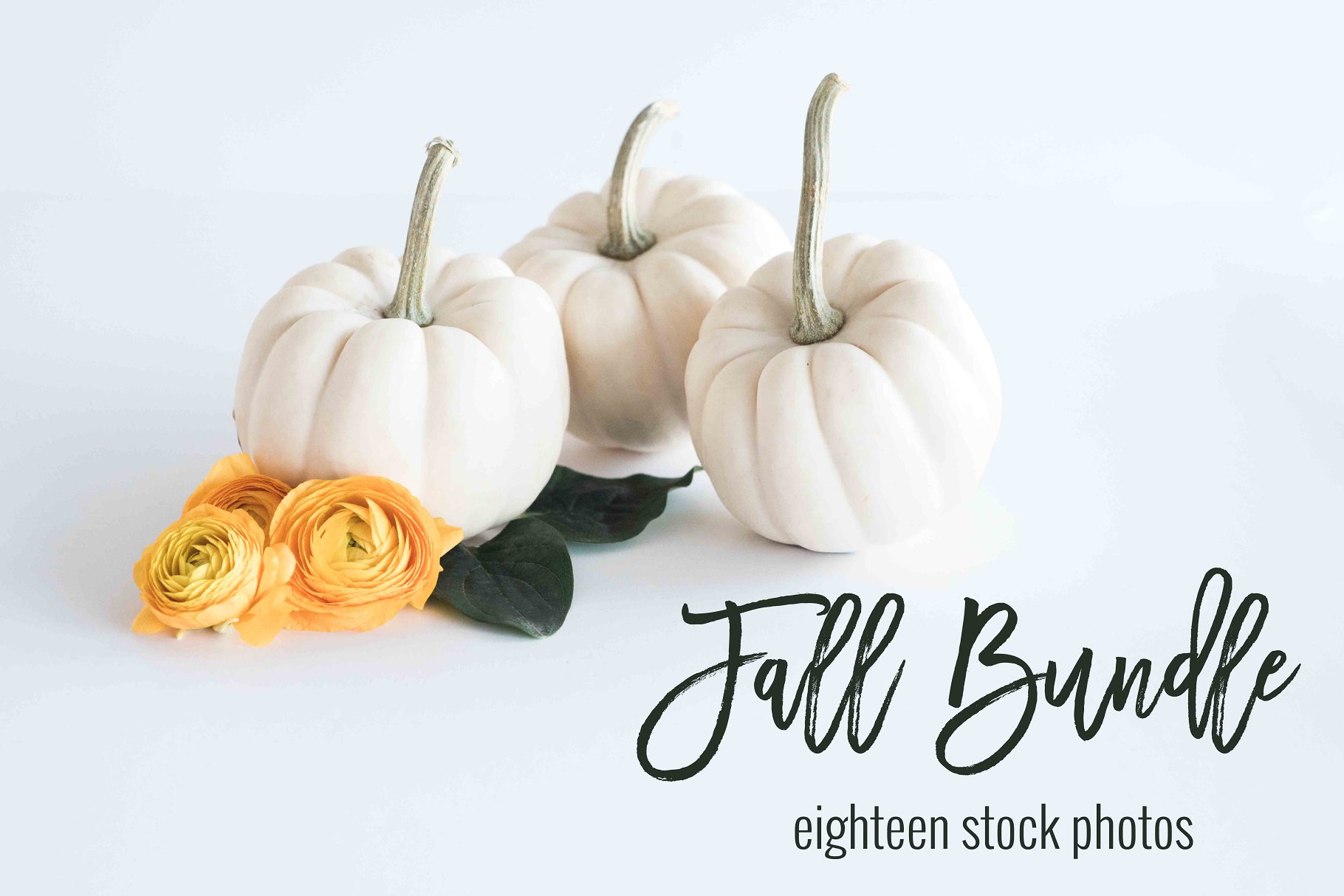 现代简约风办公场景样机 Fall Stock Photo Bundle插图
