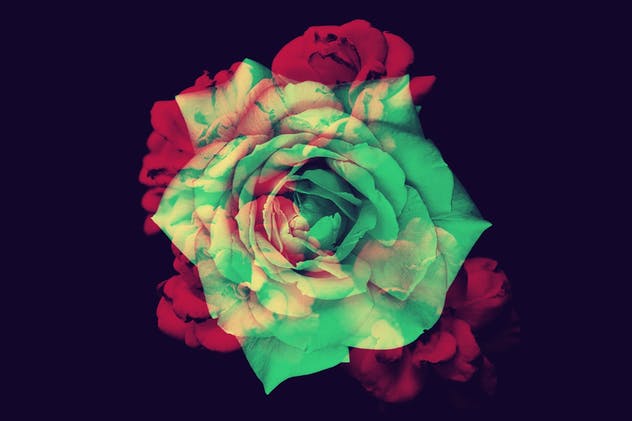 15款优雅花卉图案PS笔刷 Elegant Flower Brushes for Photoshop插图(4)