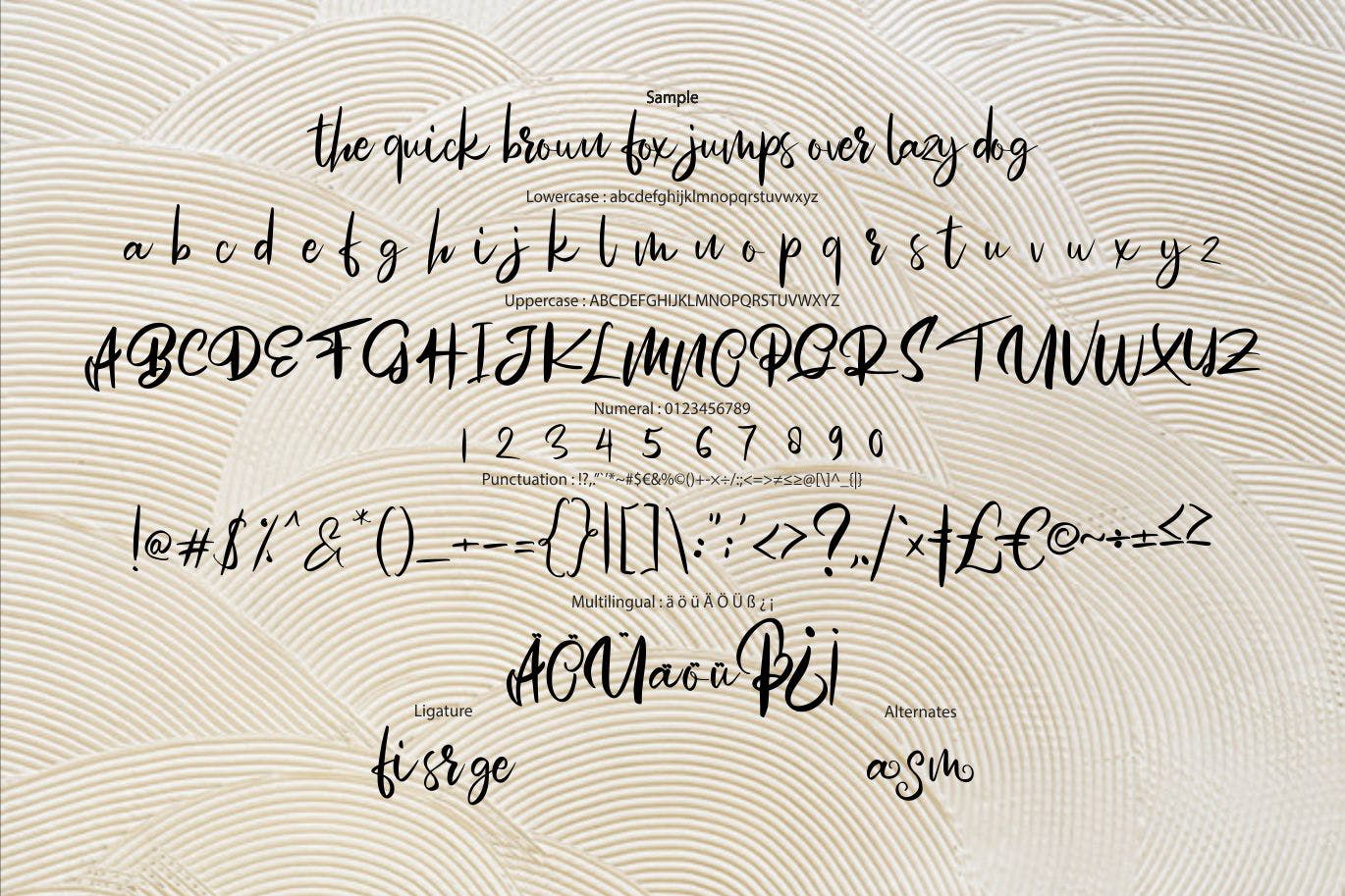 漩涡风格英文书法字体素材库精选 Mosem | Swirl Script Font插图(5)