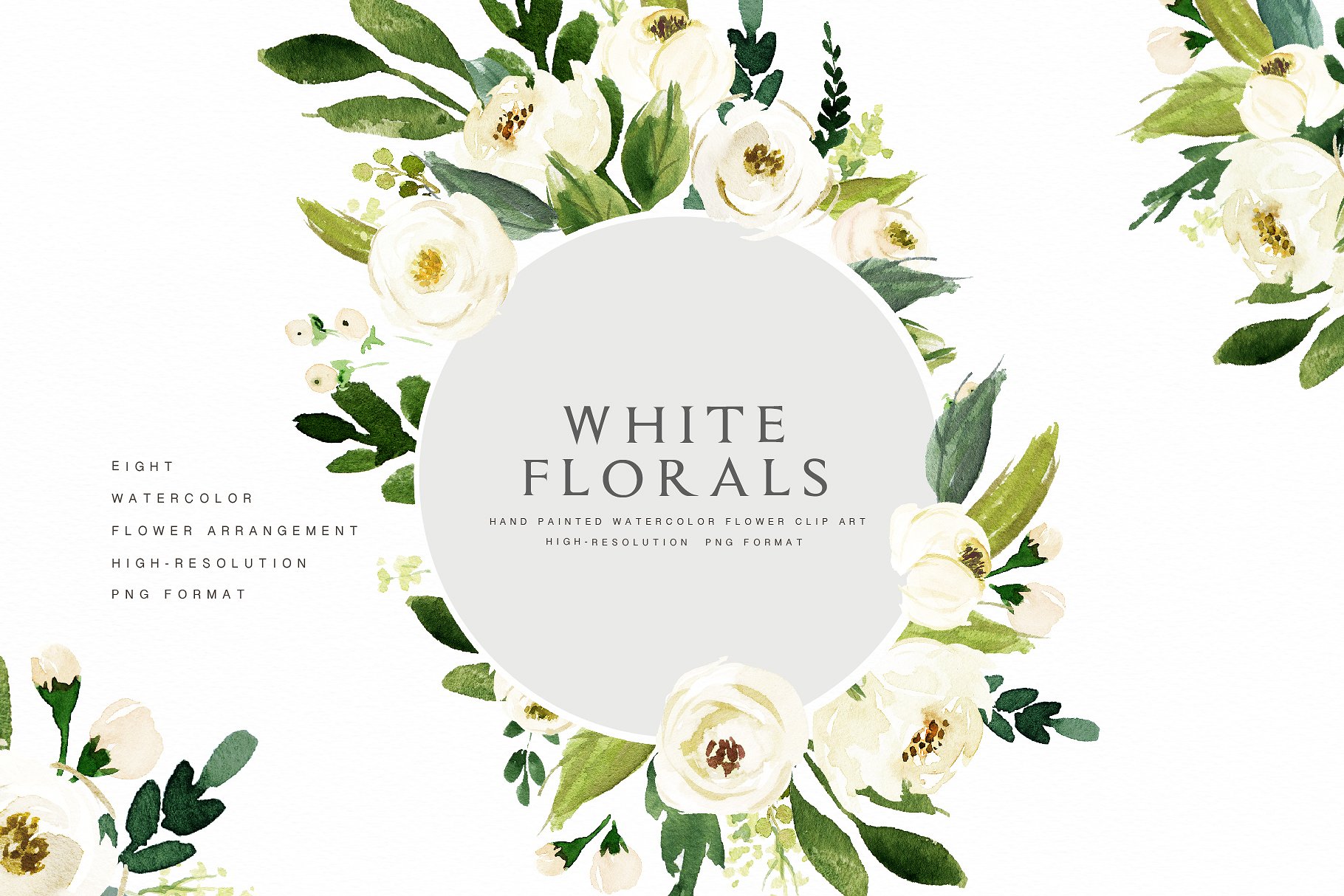 水彩花卉素材 Watercolor White Flower Clip Art插图