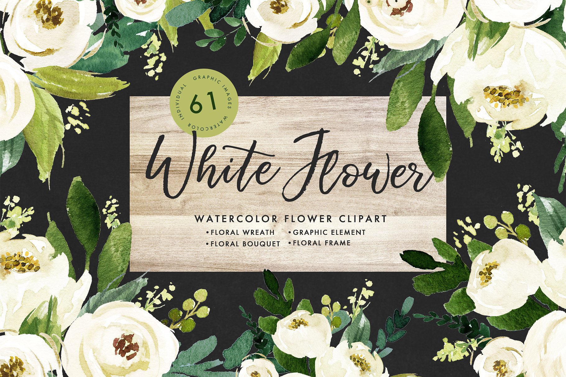 水彩花卉素材 Watercolor White Flower Clip Art插图(1)