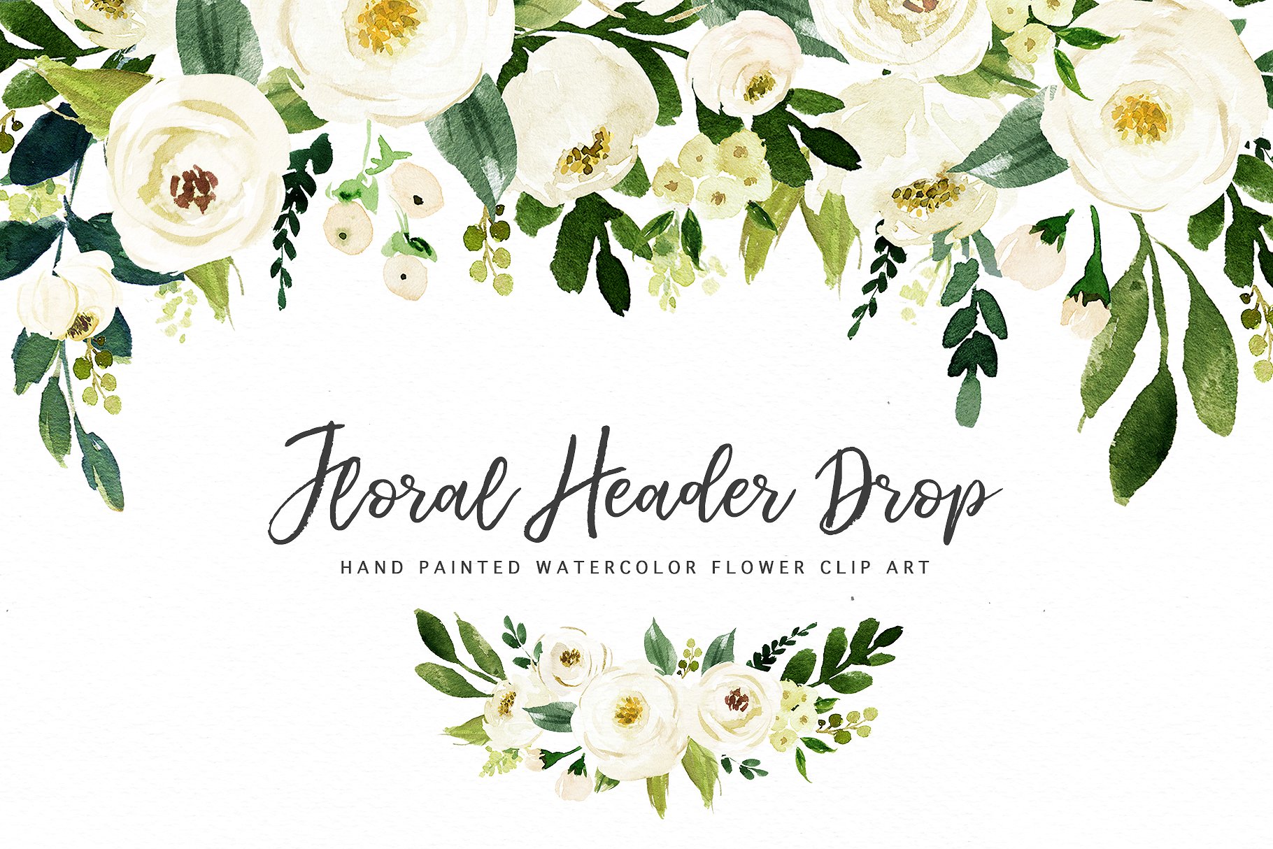 水彩花卉素材 Watercolor White Flower Clip Art插图(2)
