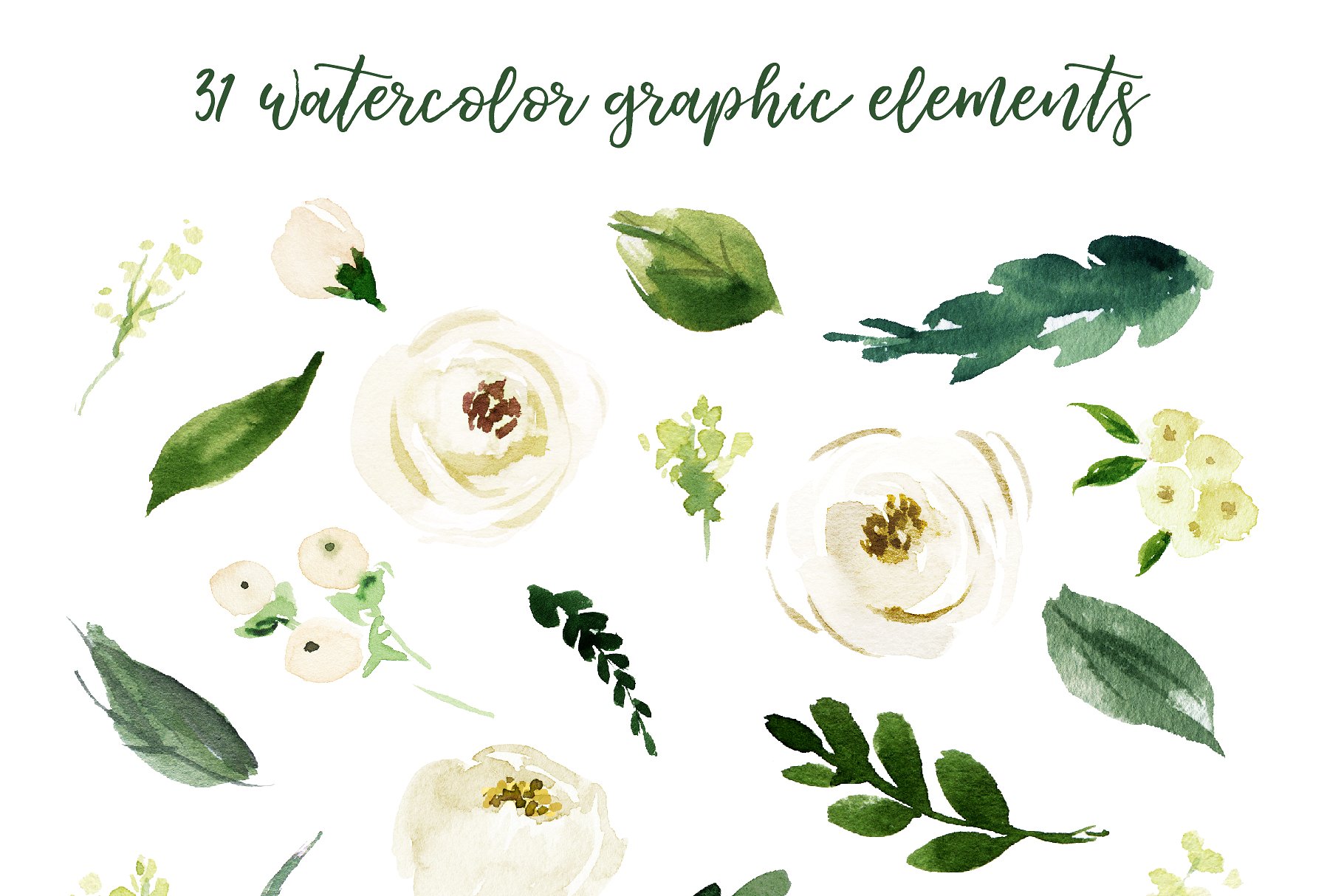 水彩花卉素材 Watercolor White Flower Clip Art插图(6)