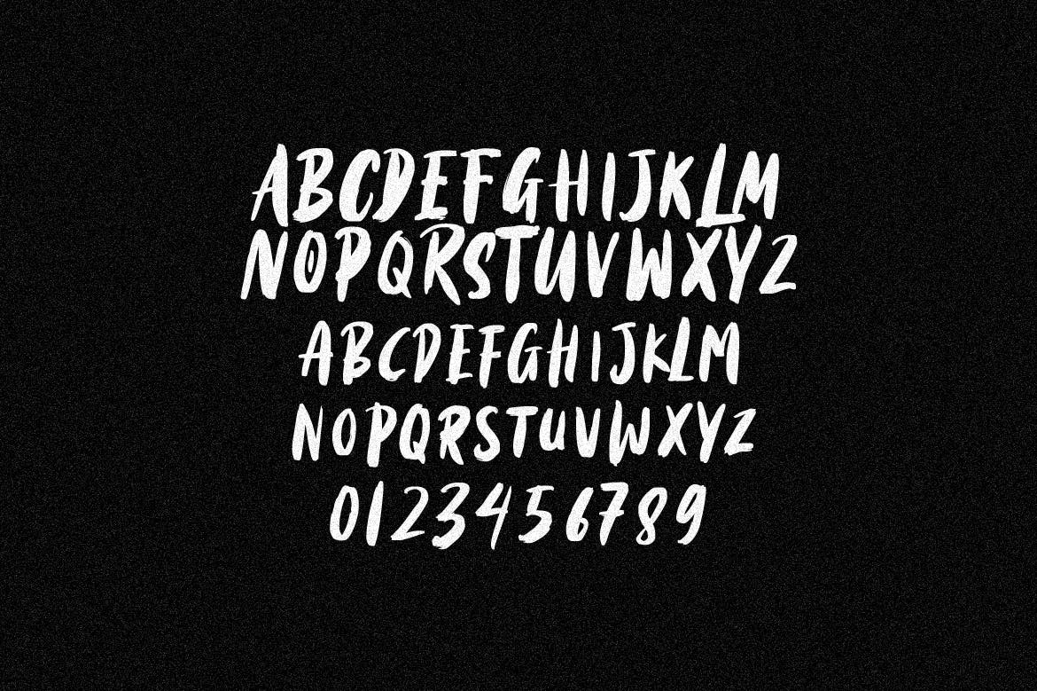 英文干笔刷画笔字体 Black Torch – Dry Brush Font插图(8)