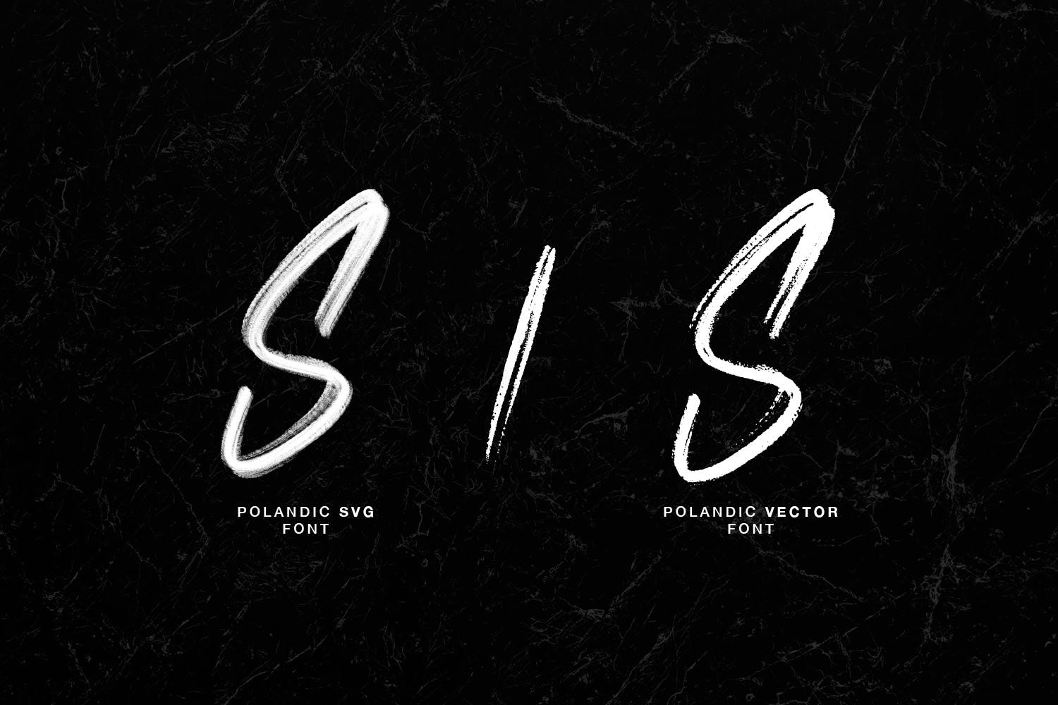 干笔刷英文画笔SVG字体下载 Polandic SVG Brush Font插图(5)