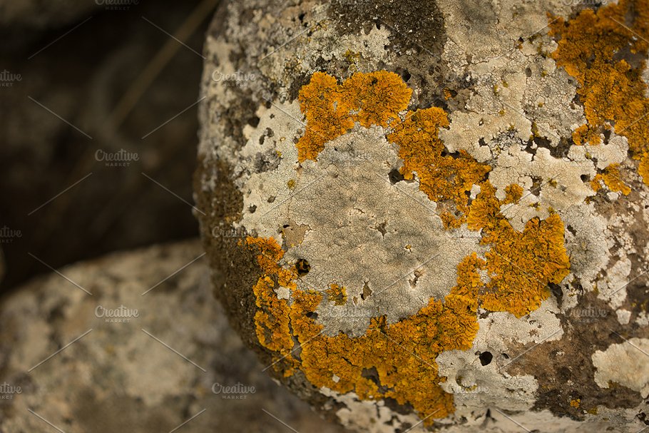 高清自然真实岩石石头照片素材 Rock Solid – Rock & Stone Collection插图(9)