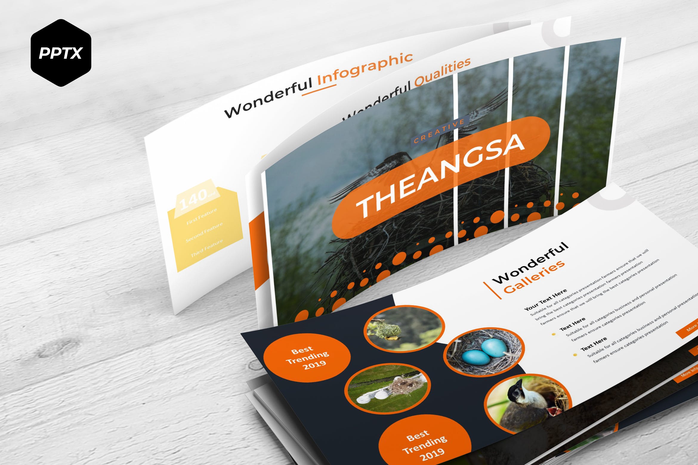 鸟类调查报告PPT幻灯片模板 The Angsa – Powerpoint Template插图