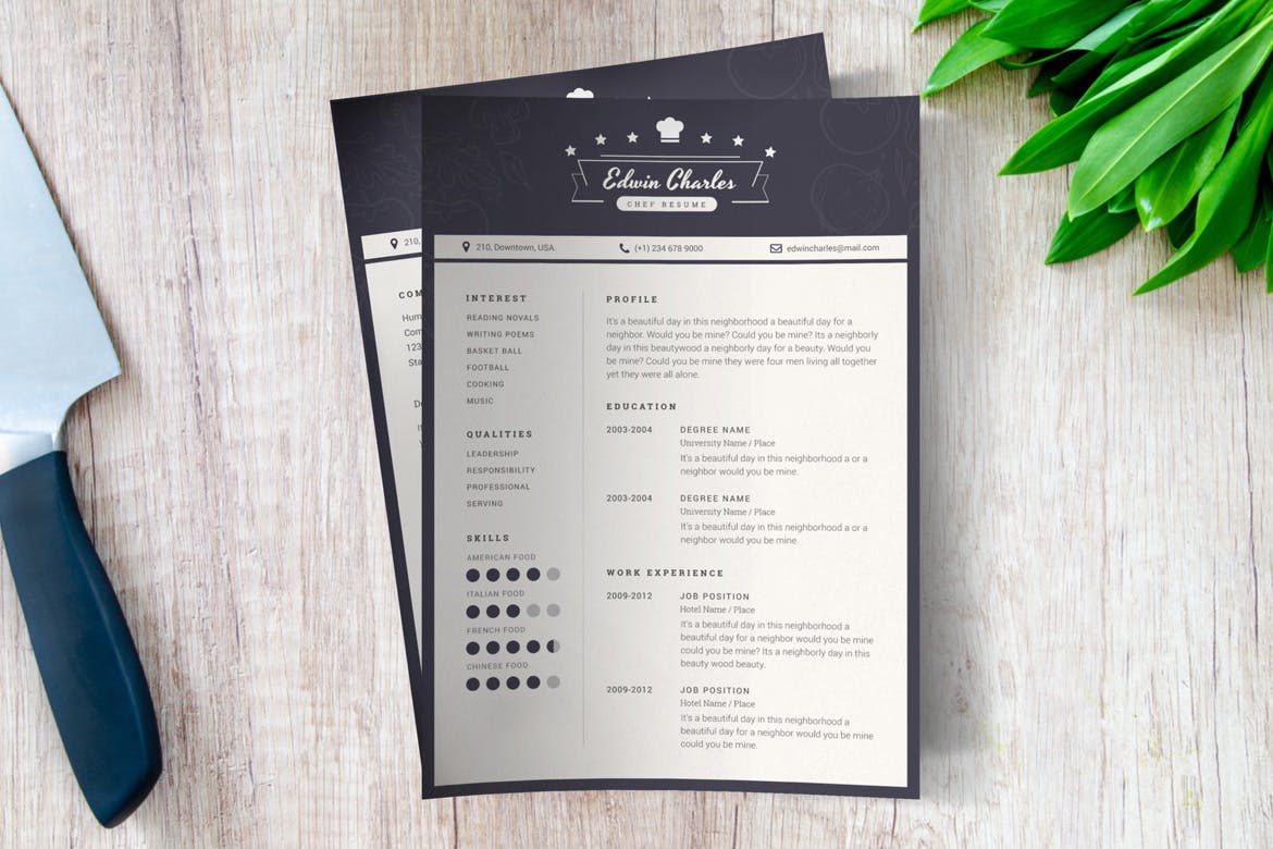 西餐厨师个人素材库精选简历模板 Chef CV Template插图(1)