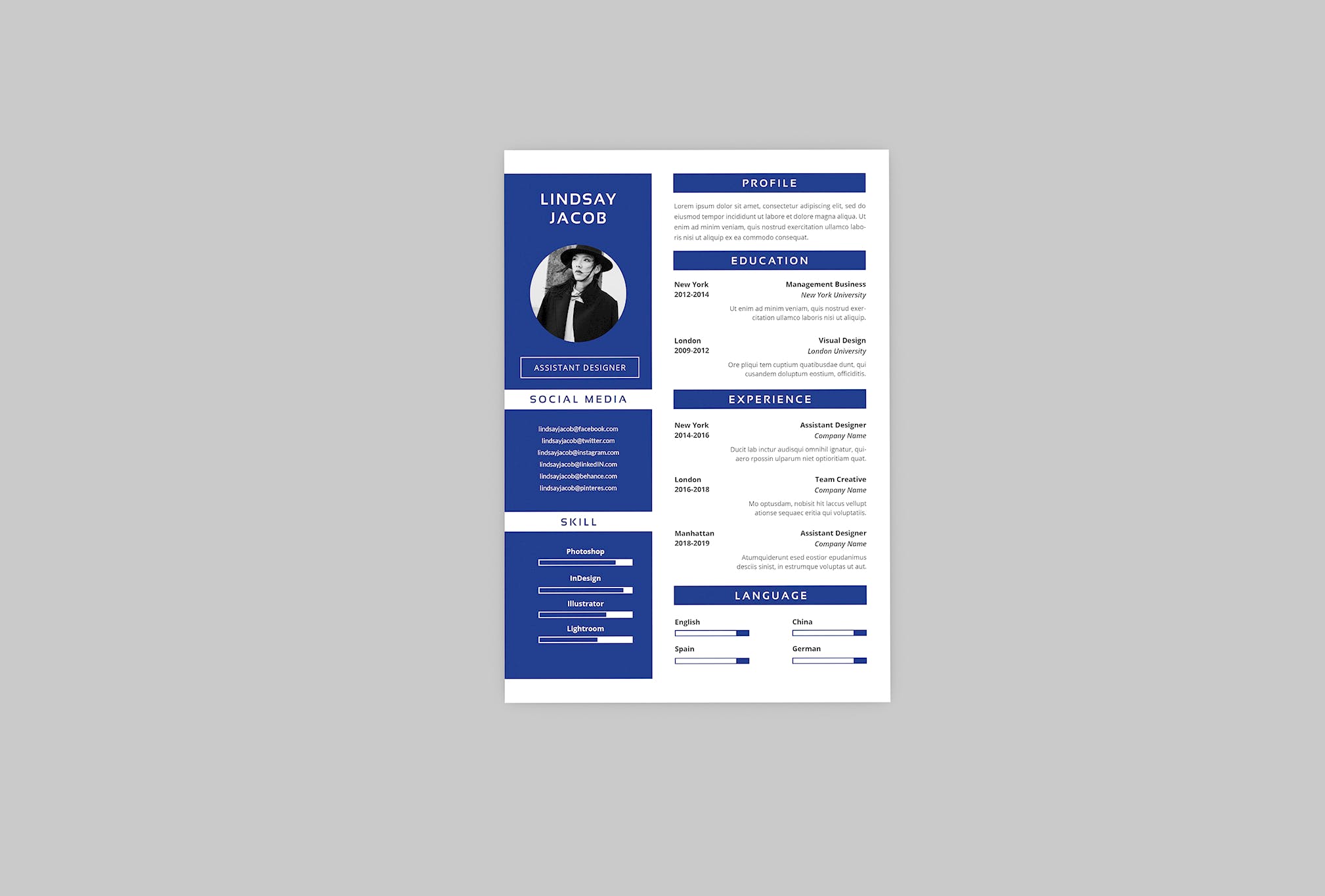 创意视觉设计师个人简历模板下载 CV Swank Resume Designer插图(2)