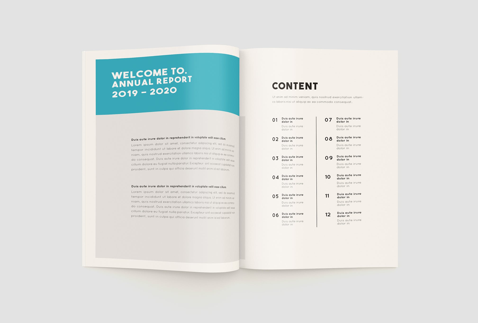 上市公司年度报告设计INDD模板 Annual Report Company插图(1)