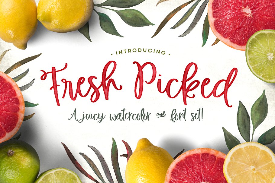 新挑选的水彩素材和字体工具包 Fresh Picked Watercolor & Font Kit插图