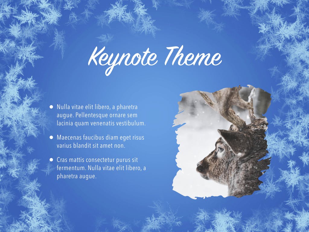 冬天雪花背景素材库精选Keynote模板下载 Hello Winter Keynote Template插图(13)