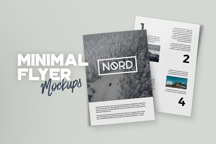 14种角度A4规格传单样机 Minimal A4 Flyer Mockups插图