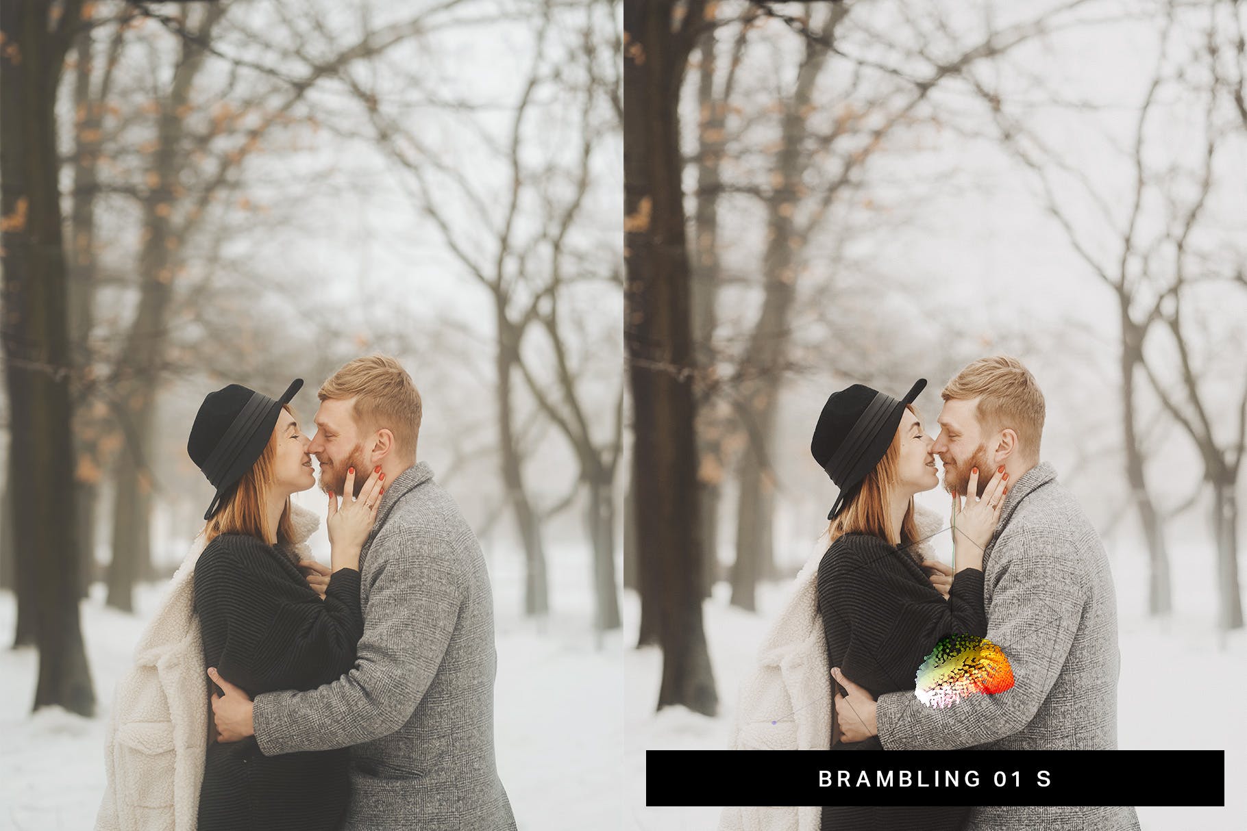 50款充满色彩的冬季风景照片LR调色预设合集 50 Winter Snowscape Lightroom Presets and LUTs插图(4)