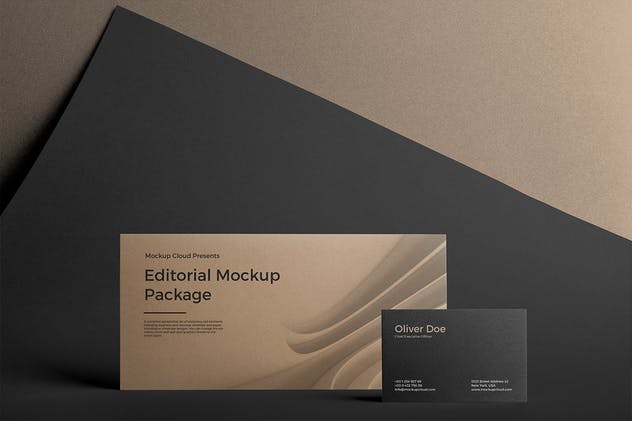 高端品牌企业办公名片/信封样机模板 Stationery Mockup插图(2)