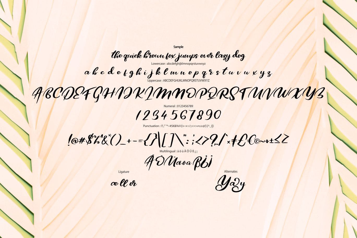 极简主义排版设计风格英文书法字体素材库精选 Qors | Minimalism Script Font插图(5)