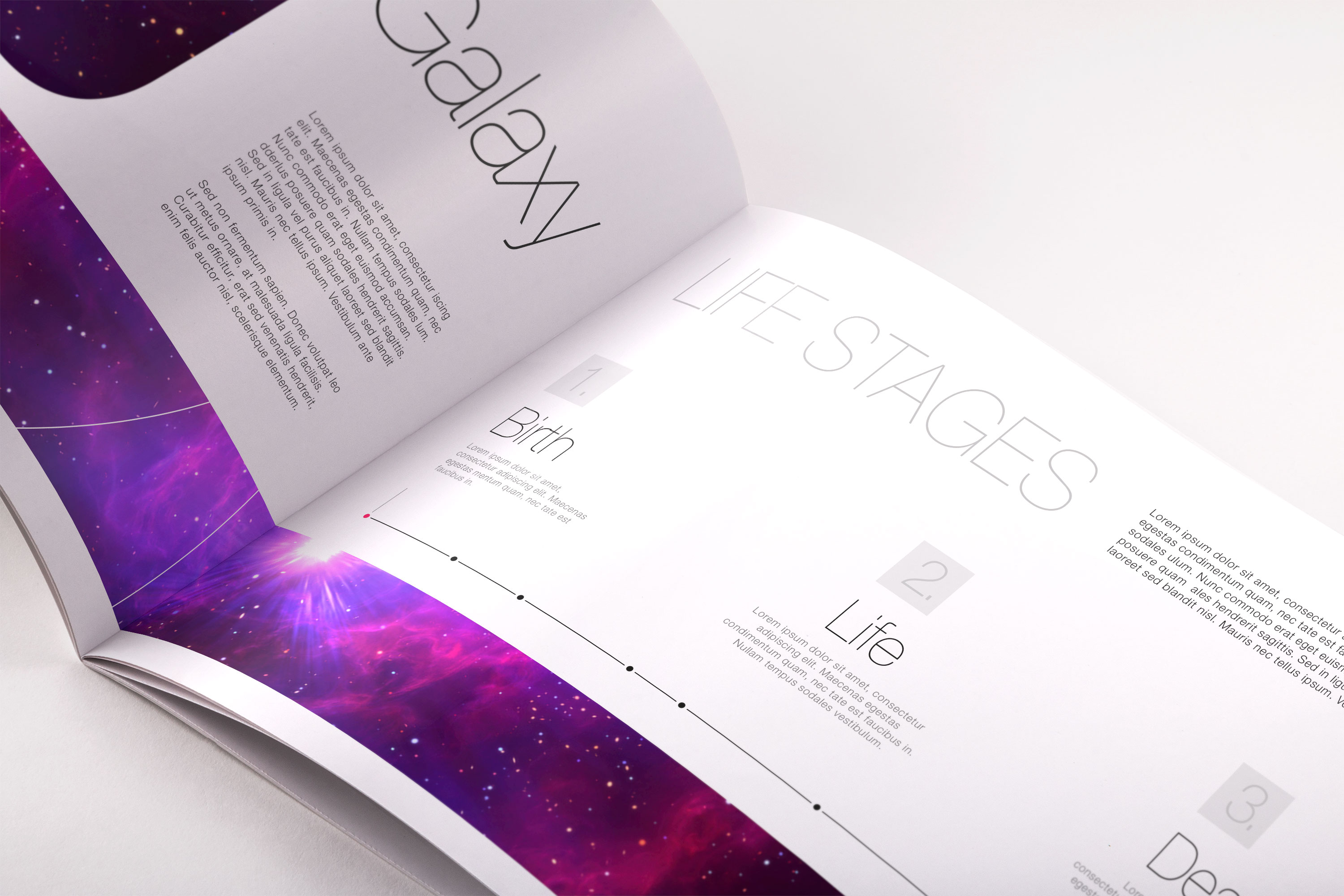 软封面产品目录内页设计PSD样机05 Softcover Landscape Catalog PSD Mockup 05插图