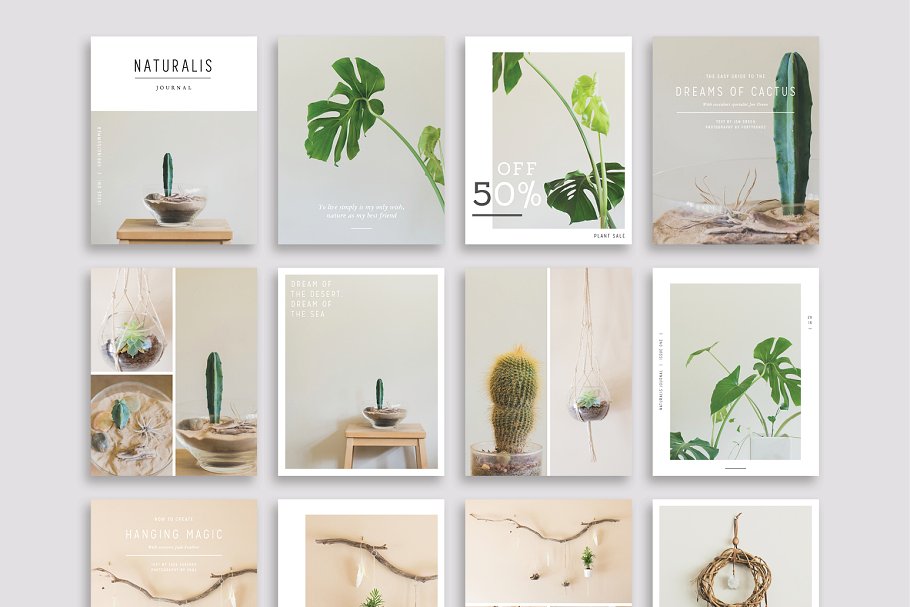 植物盆栽主题社交媒体贴图模板素材库精选[Pinterest版本] NATURALIS Pinterest Pack插图(3)