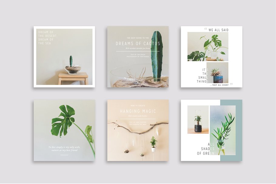 植物盆栽主题社交媒体贴图模板素材库精选[Pinterest版本] NATURALIS Pinterest Pack插图(5)