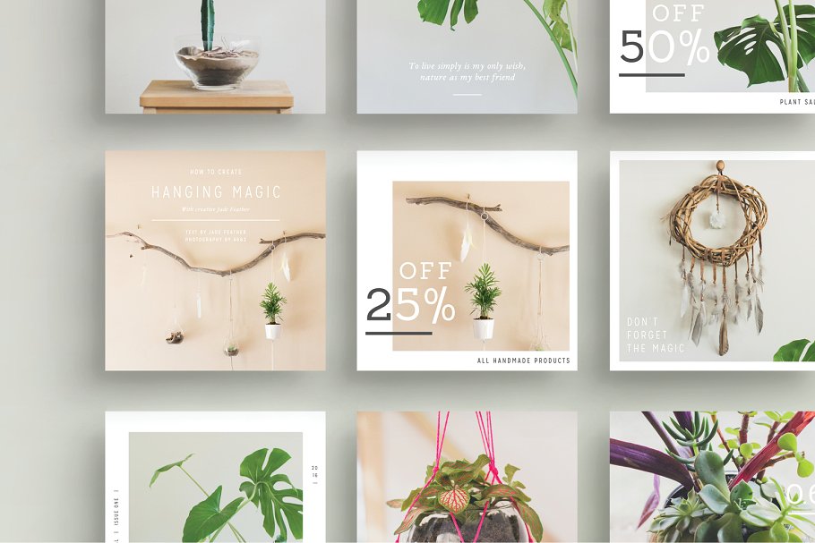 植物盆栽主题社交媒体贴图模板素材库精选[Pinterest版本] NATURALIS Pinterest Pack插图(8)