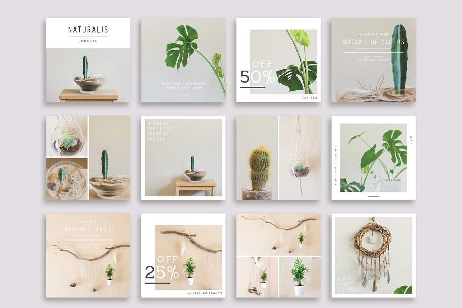 植物盆栽主题社交媒体贴图模板素材库精选[Instagram版本] NATURALIS Instagram Pack插图(2)
