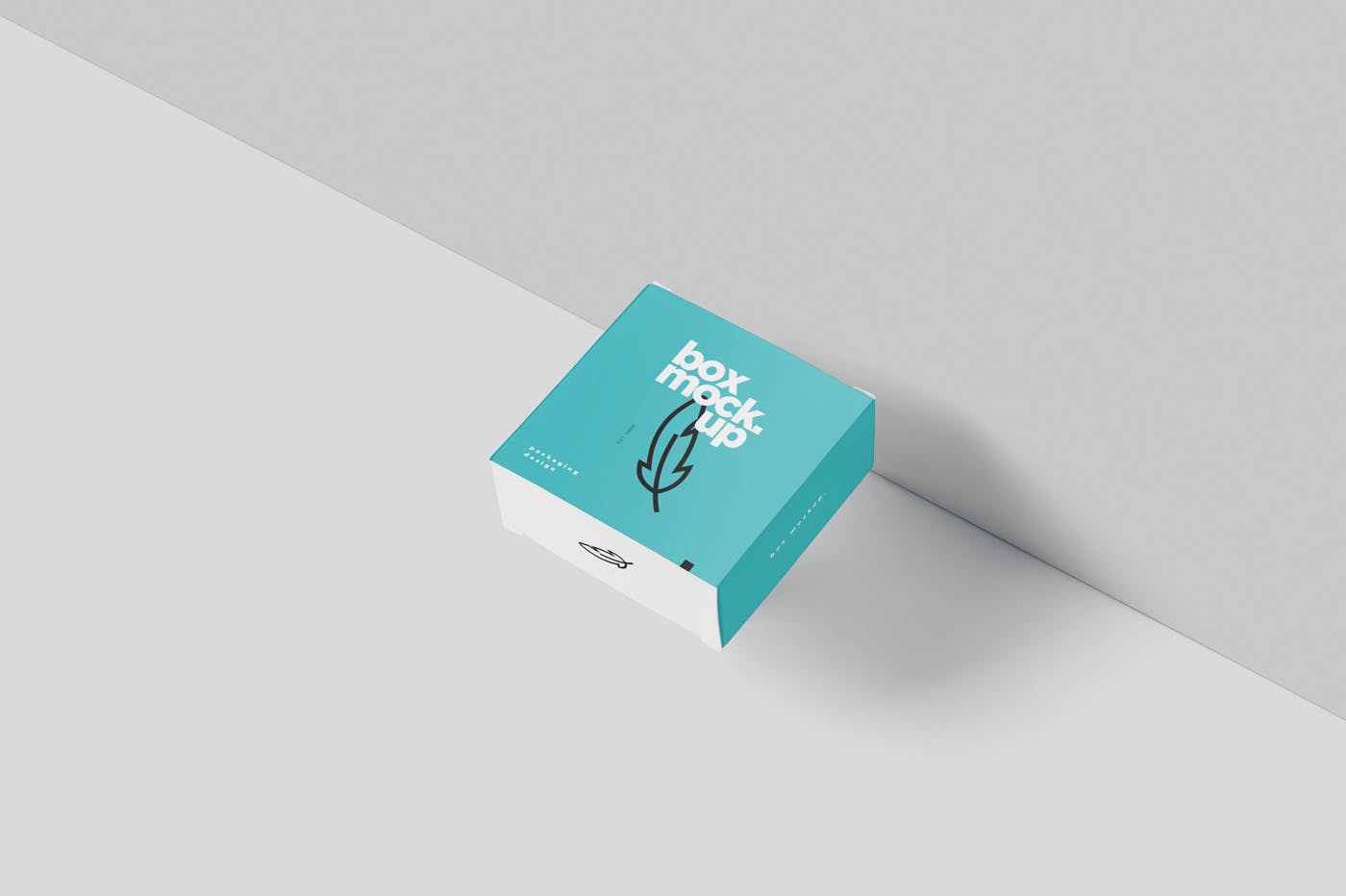 扁平方形包装盒外观设计效果图素材库精选 Box Mockup – Square Slim Size插图(2)