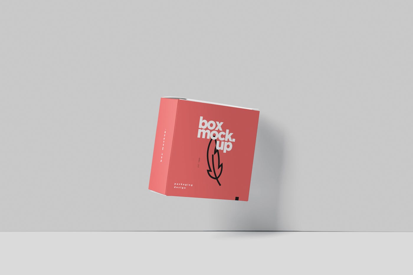 扁平方形包装盒外观设计效果图素材库精选 Box Mockup – Square Slim Size插图(5)