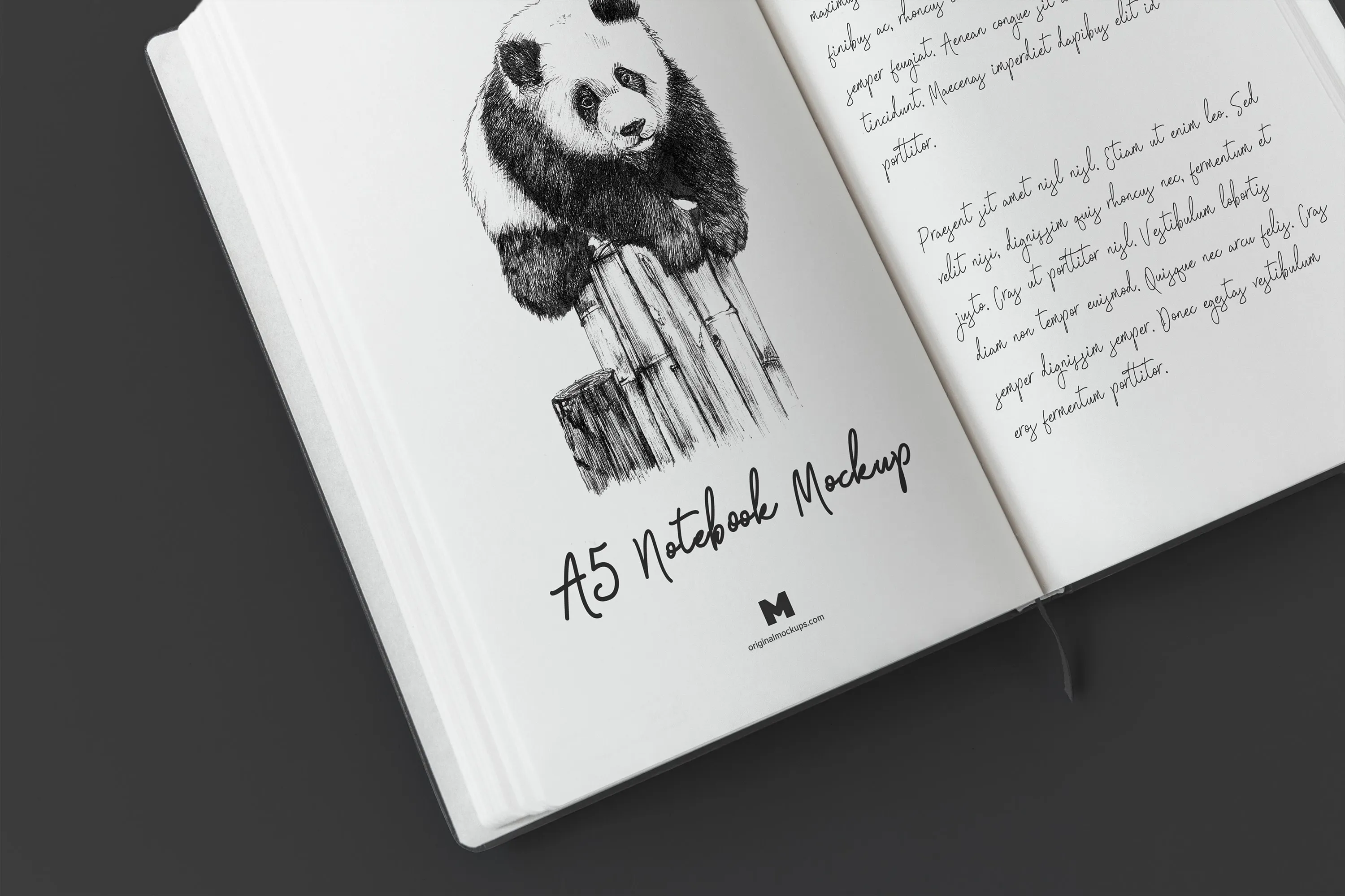 A5精装笔记本记事本内页样机模板02 A5 Hardcover Notebook Mockup 02插图(3)
