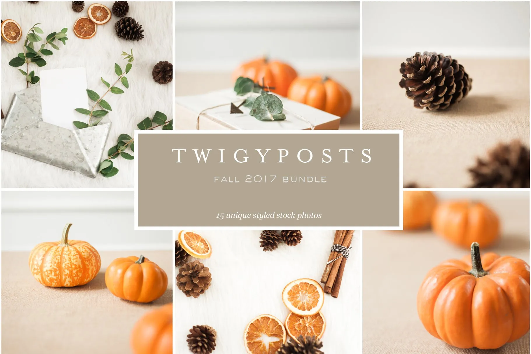 秋季南瓜场景样机模板 Fall Stock Photo Bundle插图