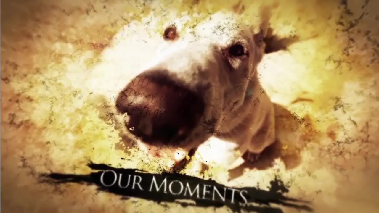 复古时尚精美的墨水幻灯片和标题像素设计精选AE模板